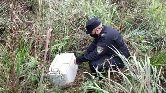 Efectivos de la Policía de Misiones lograron recuperar un horno eléctrico sustraído de una escuela en Bonpland. Policía de Misiones