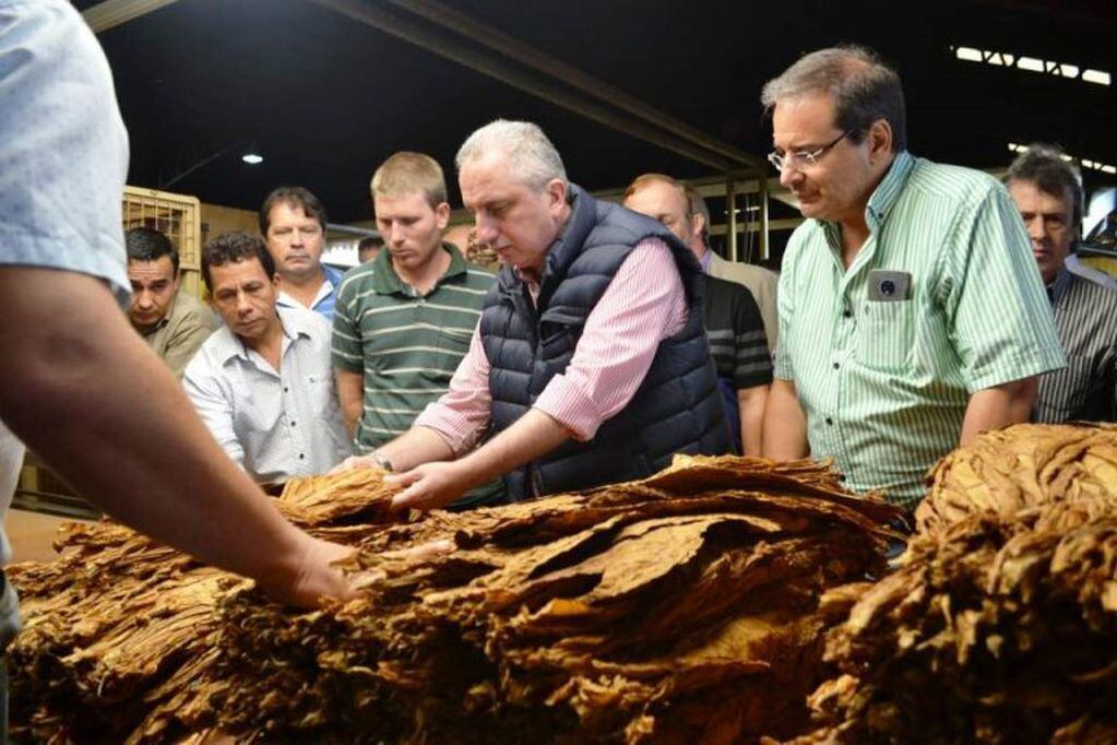 El gobernador Hugo Passalacqua durante una muestra tabacalera en Leandro N. Alem. (MisionesOnline)