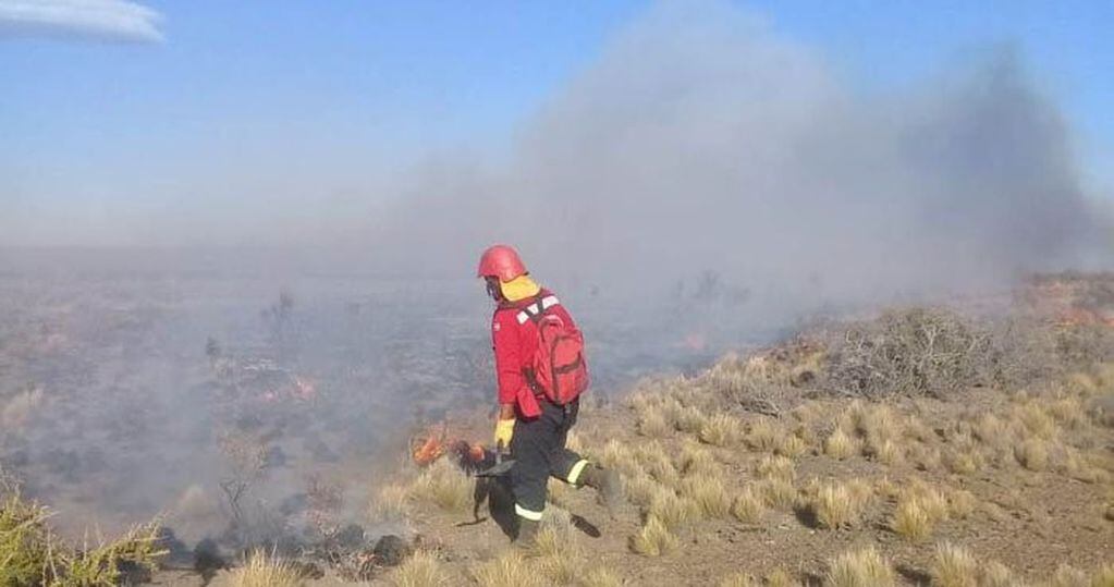 Imagen archivo. Un bombero de Chubut divisa las secuelas de los incendios en la cordillera.
