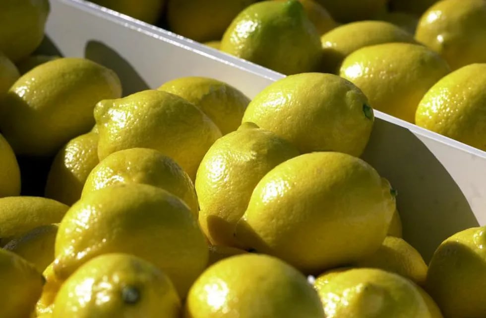El gobierno celebró la exportación del limón a India. (DYN)