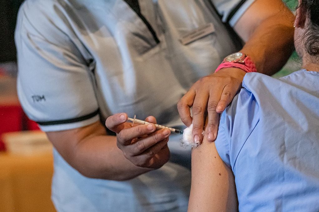 Esta infección viral transmitida por la picadura de ciertas especies de mosquitos, puede prevenirse con la vacunación.(Gobierno de Córdoba)