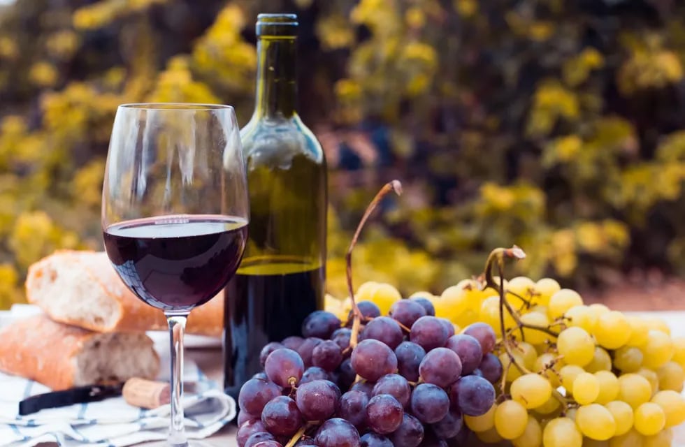 Desde el INV se conoció el informe que indica que el consumo de vinos durante el 2020 creció en el país el 6,5% respecto de 2019. Gentileza