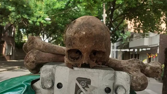 Huesos humanos en un contenedor de basura de Rosario