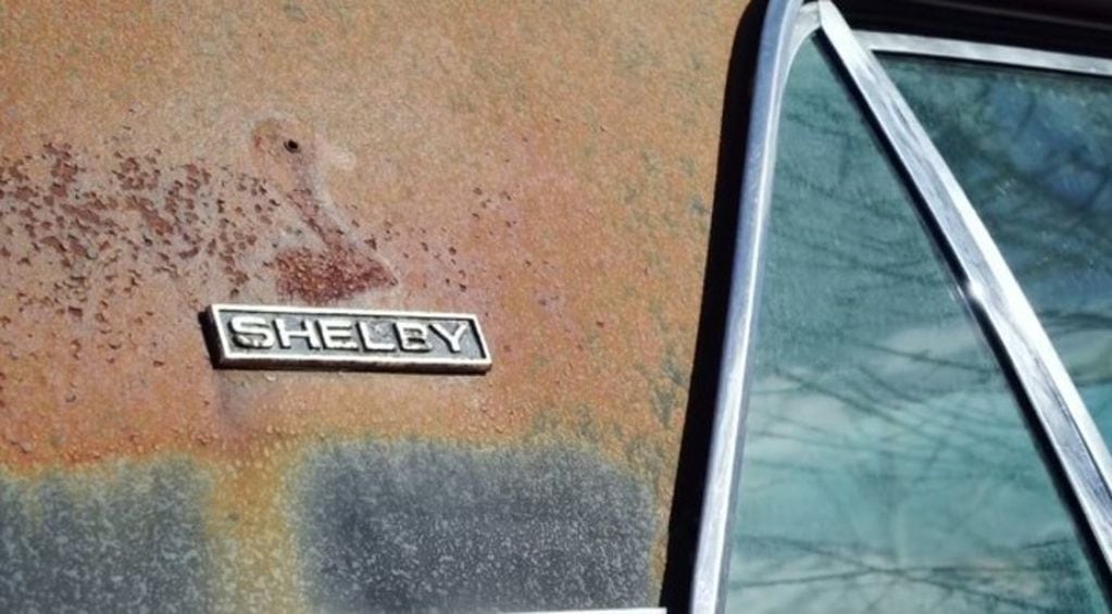 El Shelby hallado