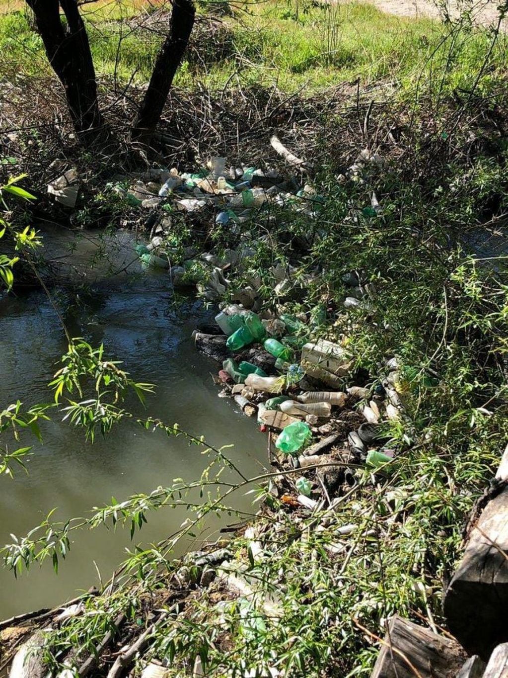 El Arroyo Esquel se encuentra totalmente contaminado por diferentes factores.
