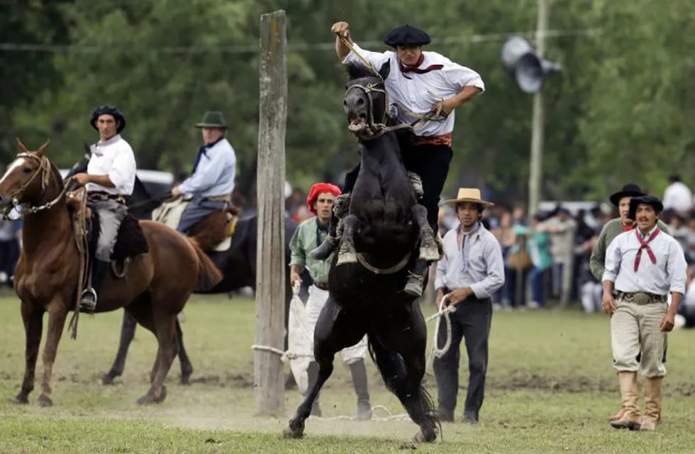 AA man rides a horse at a rodeo exhibition during the Tradition Day in San Antonio de Areco, Argentina, Sunday, Nov. 11, 2012. The tradition day annually celebrated in San Antonio de Areco, Province of Buenos Aires,  marks the birthday of Argentine writer Jose Hernandez, author of Argentina's national poem \