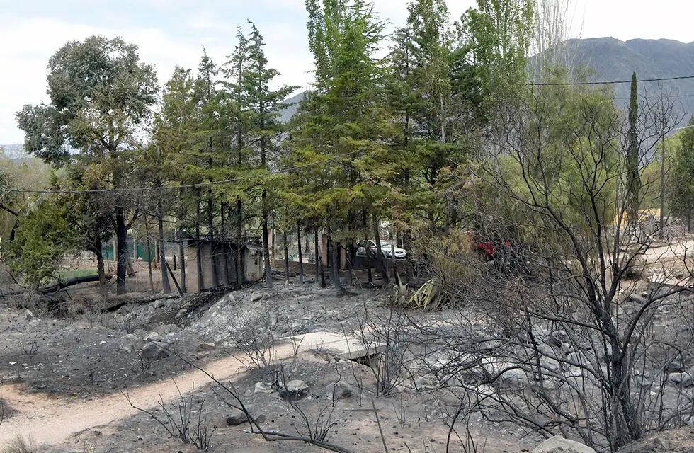 Fin de semana crítico y catastrófico -con el viento Zonda se propagaron distintos focos de incendio que consumieron a unas 2.500 hectáreas en el piedemonte de Luján de Cuyo.