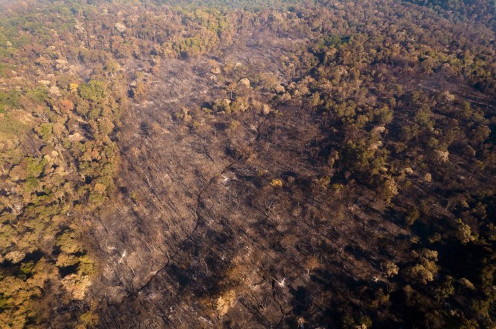 Continúan los incendios en la Reserva Guaraní en El Soberbio que ya arrasó con más de 300 hectáreas de selva.