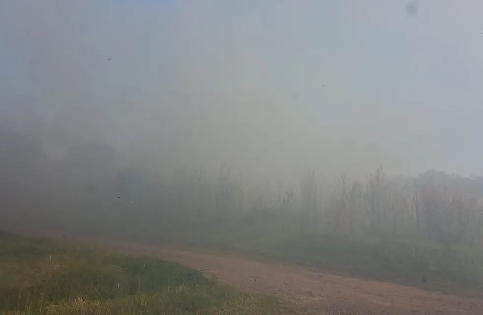 Incendio forestal en el barrio Talleres Nuevos de Pérez