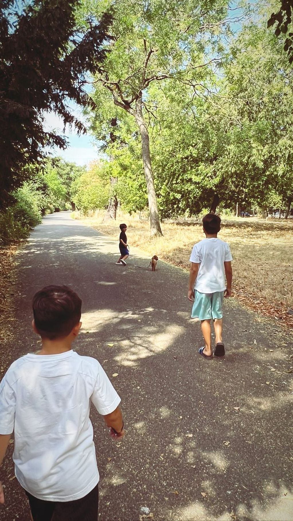 Los chicos fueron de paseo con uno de sus perros.
