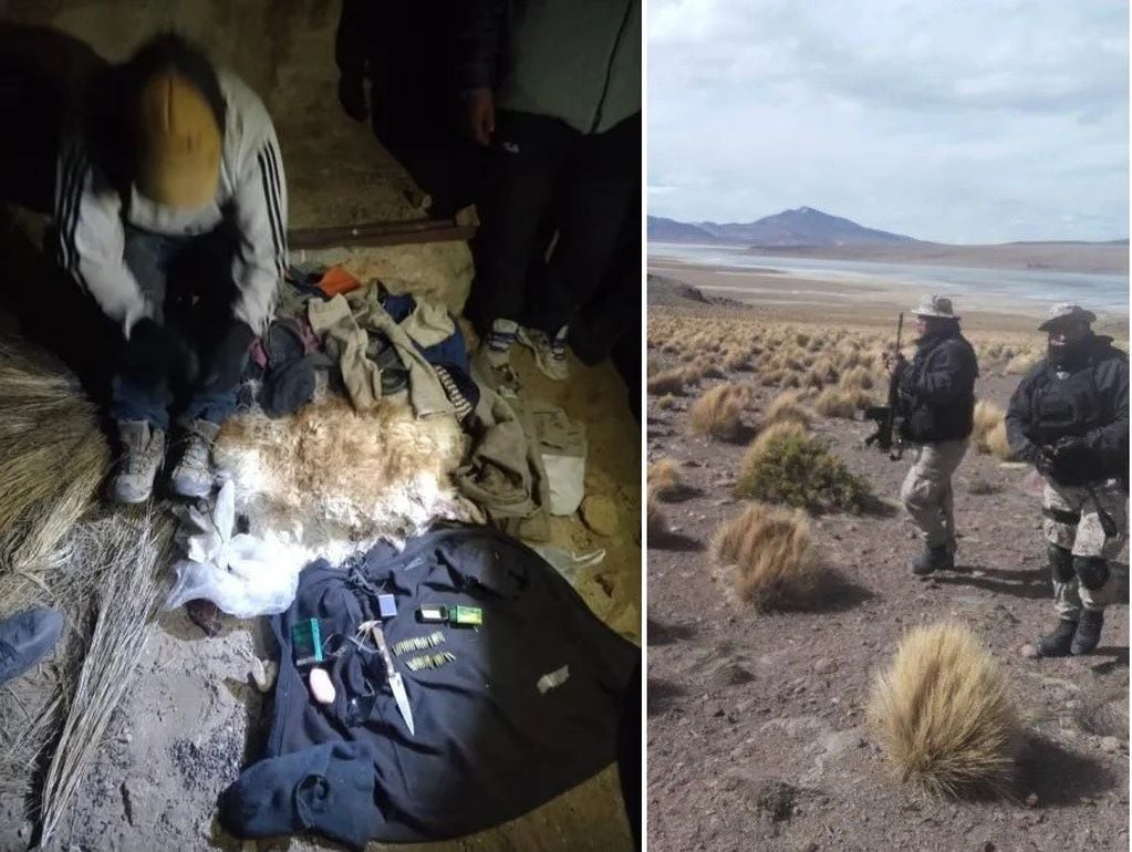 El reciente hallazgo de dos vicuñas muertas a las que se les había extraído el cuero, dio lugar al operativo que permitió atrapar a uno de los cazadores ilegales.