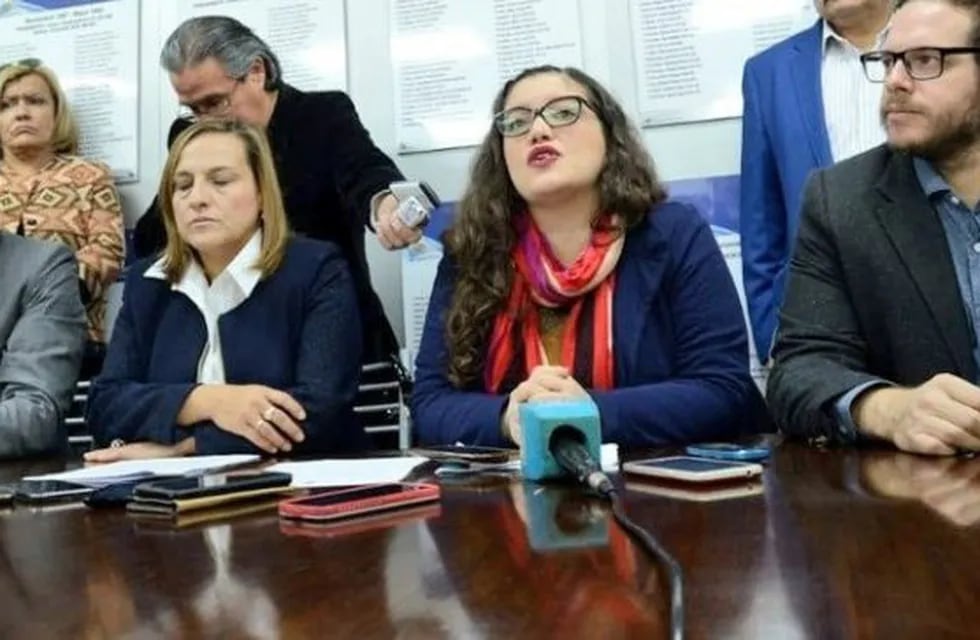 Los cuatro representantes de los bloques opositores que pidieron la sesión especial: Mario Vadillo (PI), Carina Segovia (PJ), Macarena Escudero (FIT) y Lucas Ilardo (Podemos).