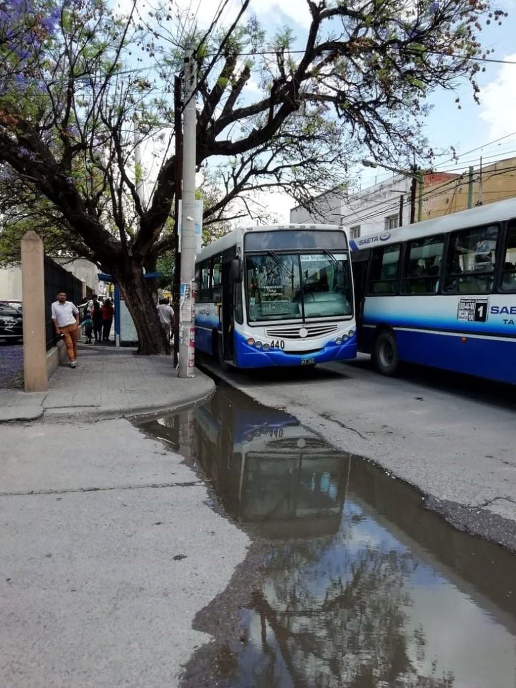 Enfrentamiento entre pegatineros en pleno centro de la ciudad de Salta. (cortesía del Ministerio Público de Salta)