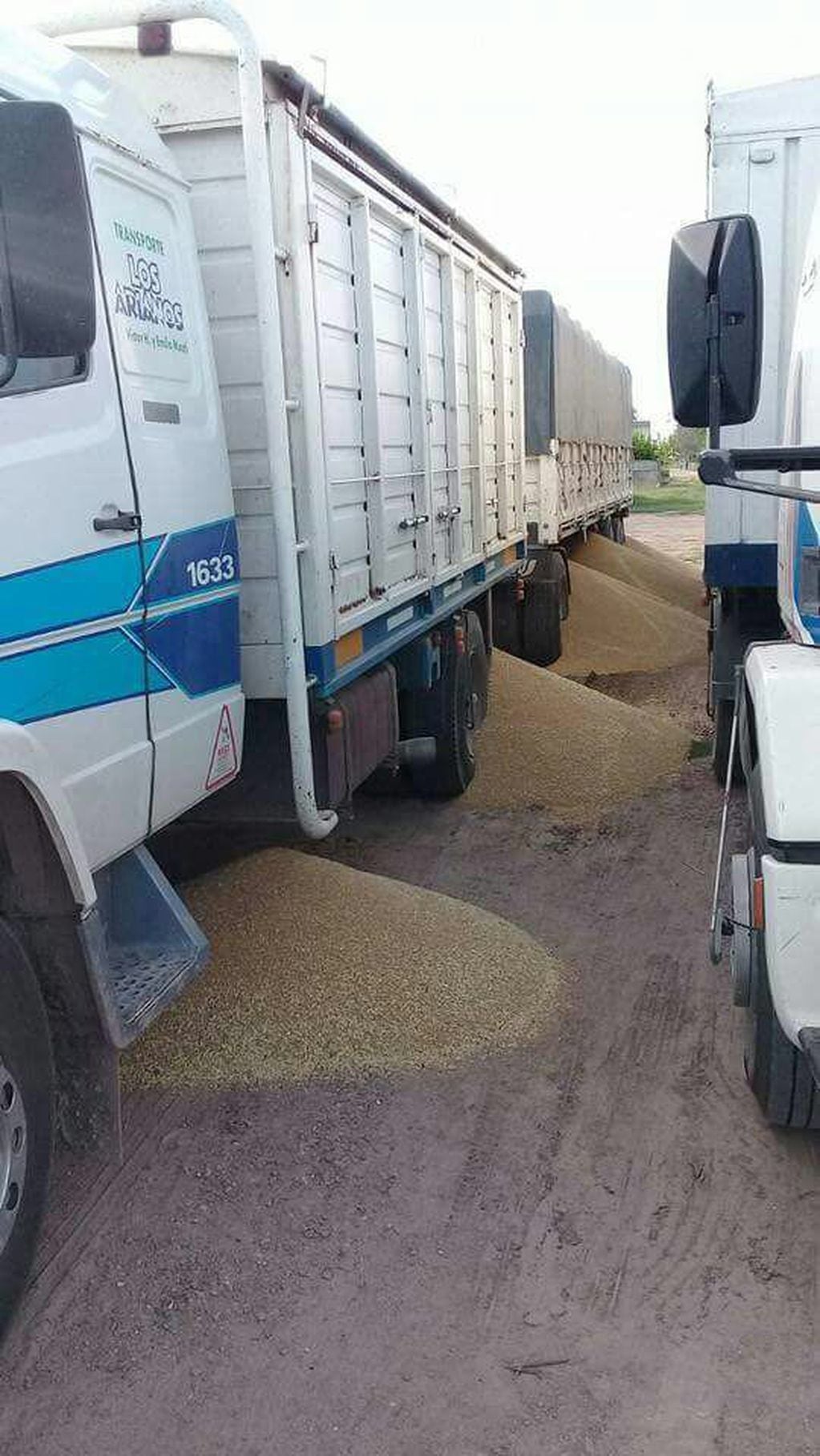 Por el paro de cereales, denuncian ataques a camioneros.