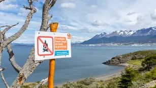 Tierra del Fuego: recuerdan la prohibición de hacer fuego para evitar incendios forestales