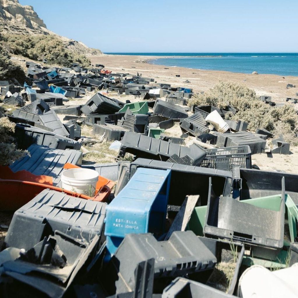 Lange busca eliminar 20 toneladas de plástico de la Península Valdés.