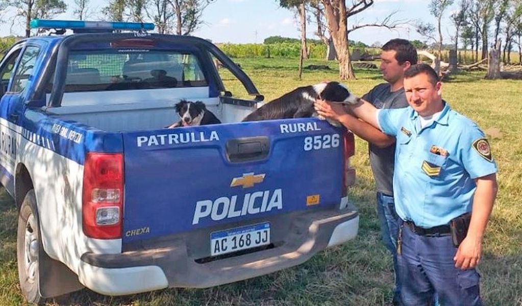 El robo ocurrió en un campo en General Cabrera y el cuidador se llevó animales valiosos. (Unidad Departamental Río Cuarto)