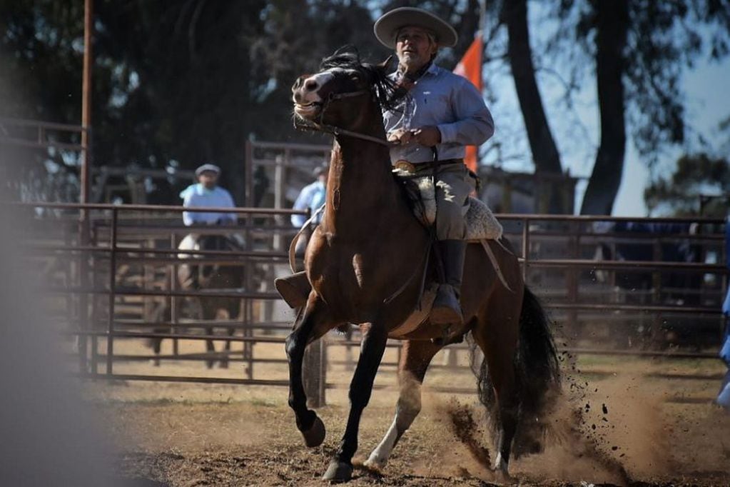 Leandro Vergara, adiestrador, entrenador, jinete, competidor y dueño de la cabaña El Rincón de Los Pimientos, habló del caballo.