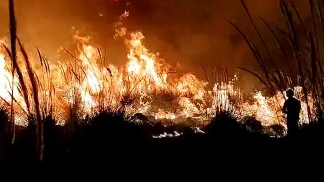 Pérez: cuatro focos de incendios en un solo día