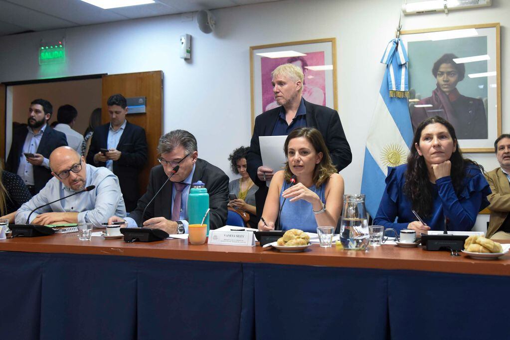 Las diputadas Vanesa Siley y Mónica Macha, del Frente de Todos, encabezaron el debate. Foto: HCDN.