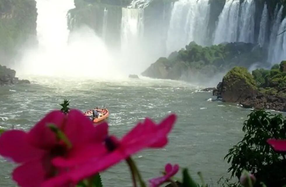 Primavera en Iguazú