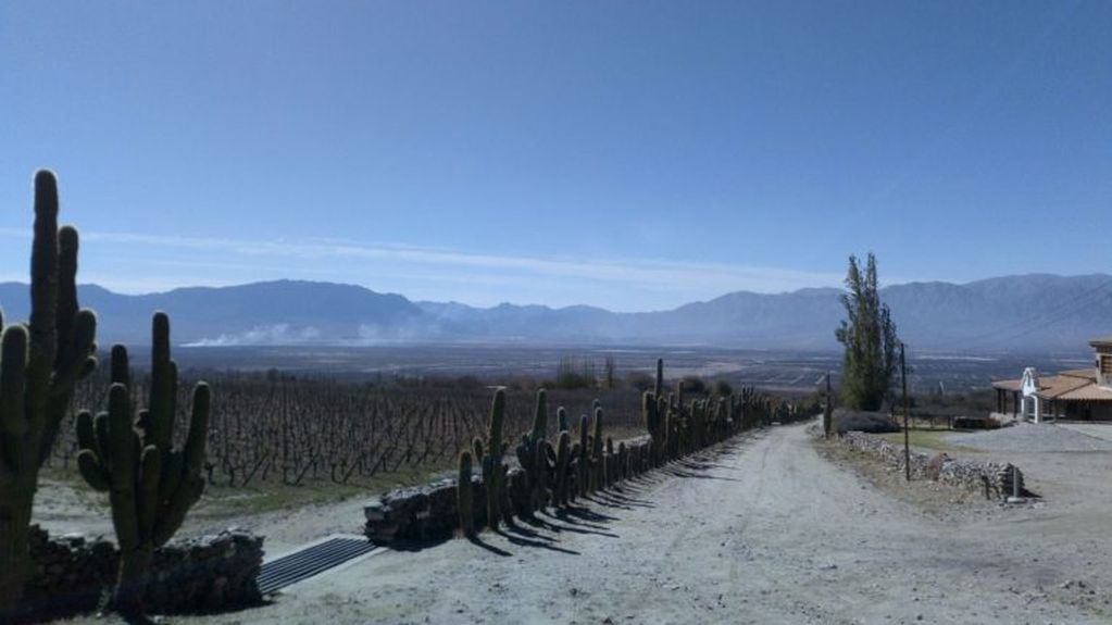 Vista de Cafayate desde la bodega San Pedro de Yacochuya. (Vía Salta)