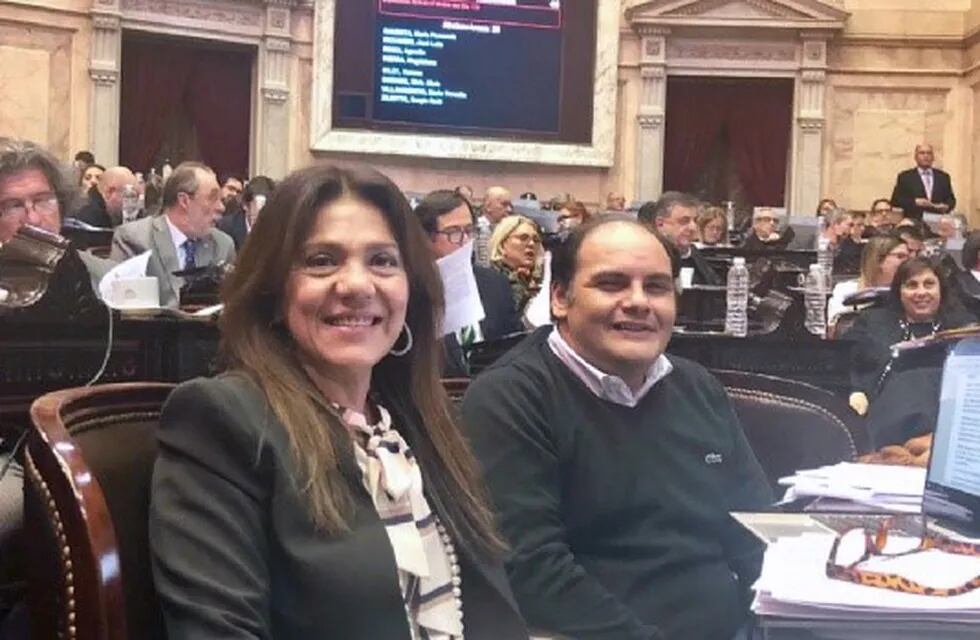Senadores Gustavo Saadi y Silvana Ginocchio