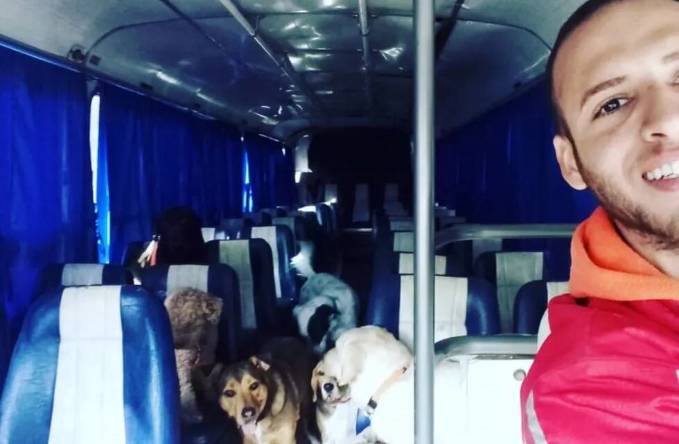 León Darío junto a sus perritos en el colectivo (Instagram)