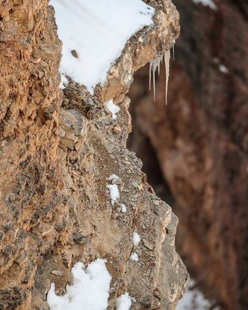"El arte del camuflaje", escribió el fotógrafo Saurabh Desai para mostrar cómo un leopardo lograba hacerse invisible entre las rocas (Instagram: @visual_poetries)