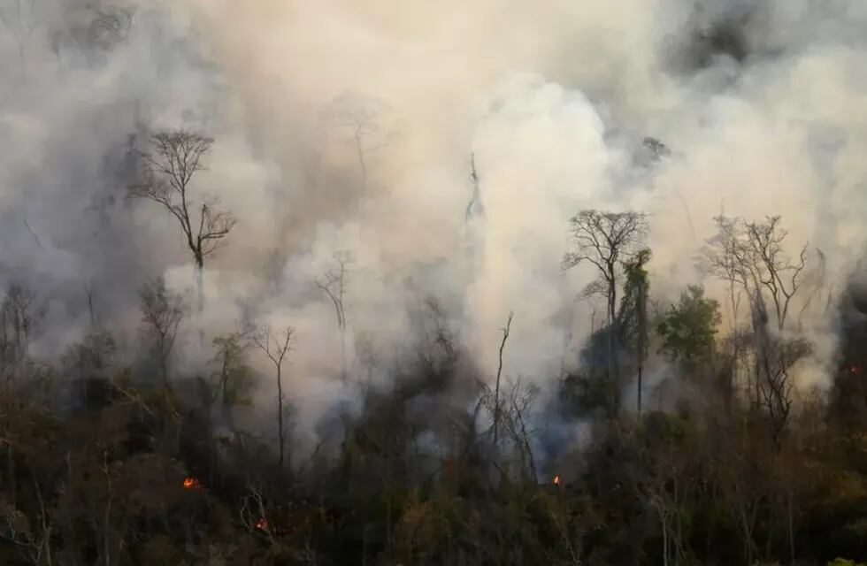 El humo, denso y pesado, asciende por el aire y satura la atmósfera de las Yungas, en el departamento Ledesma, Jujuy.
