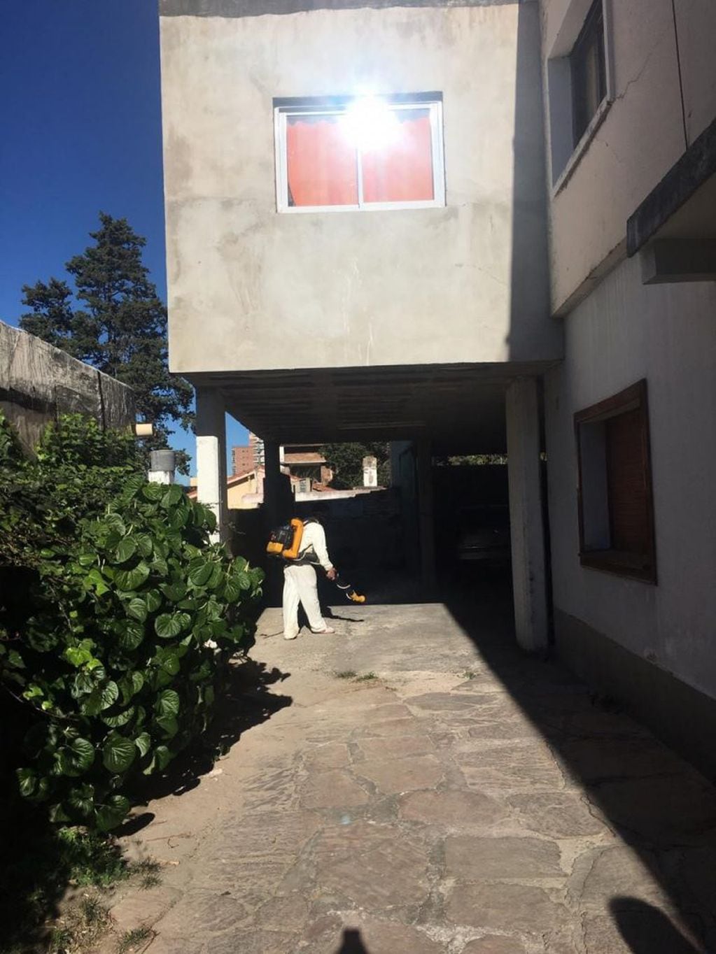 Tareas de fumigación en la zona de la vivienda afectada. (Foto: prensa municipal).