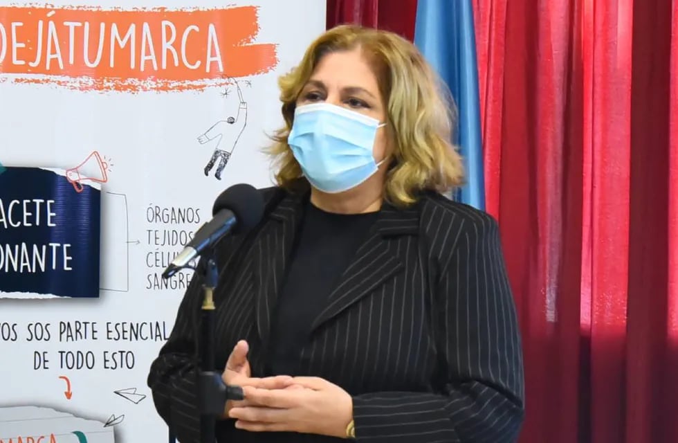 La ministra de Salud, Sonia Martorano, confirmó que crecieron las internaciones pediátricas y neonatales.