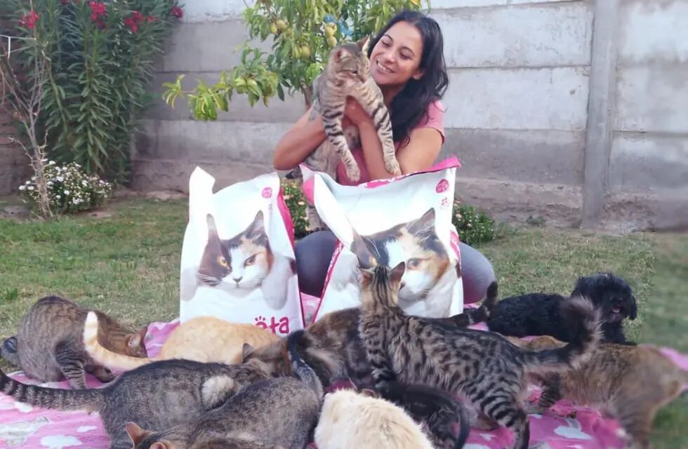 La sanjuanina que creó un refugio de gatos en su casa.
