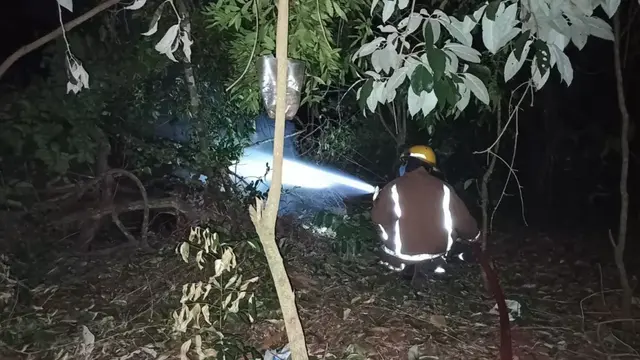 Rescatan a una familia que quedó atrapada en una vivienda tras la caída de un árbol en Iguazú