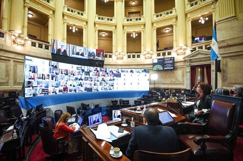 Sesión en el senado (Foto: Prensa Senado)