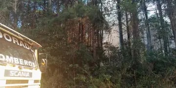 Controlan foco de incendio en un pinar en Eldorado