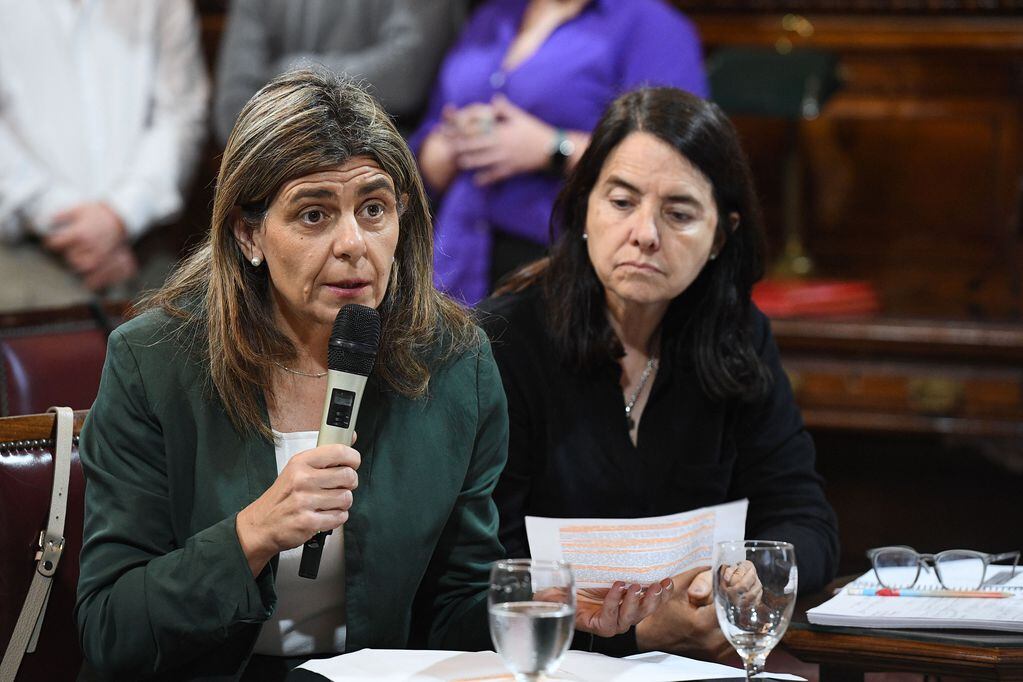 La senadora Mariana Juri (UCR) criticó la celeridad con la que se firmó el dictamen (Foto: Comunicación Senado)