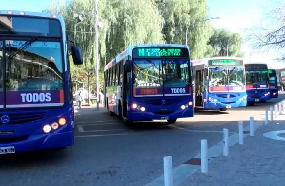 Transpuntano. Colectivos de San Luis. Boleto Estudiantil Gratuito.