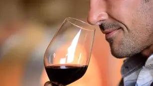 Consumo responsable de vino