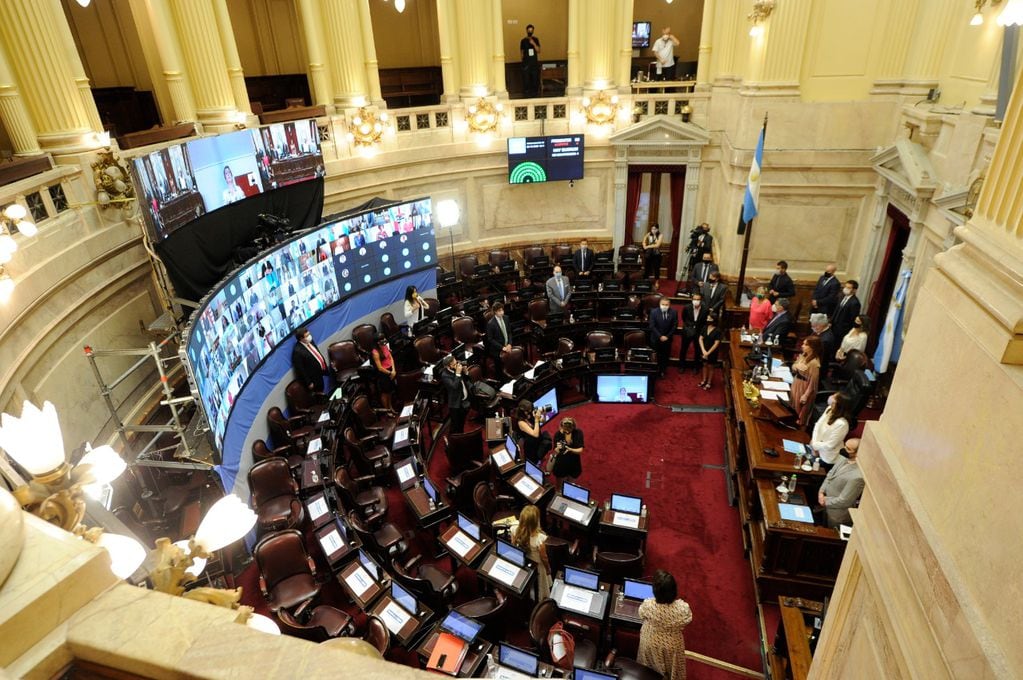 Se inició la maratónica sesión en el Senado para debatir la ley de aborto legal, que ya tiene media sanción de Diputados.