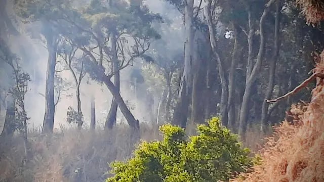 El municipio solicita extremar cuidados para evitar incendios forestales y de pastizales