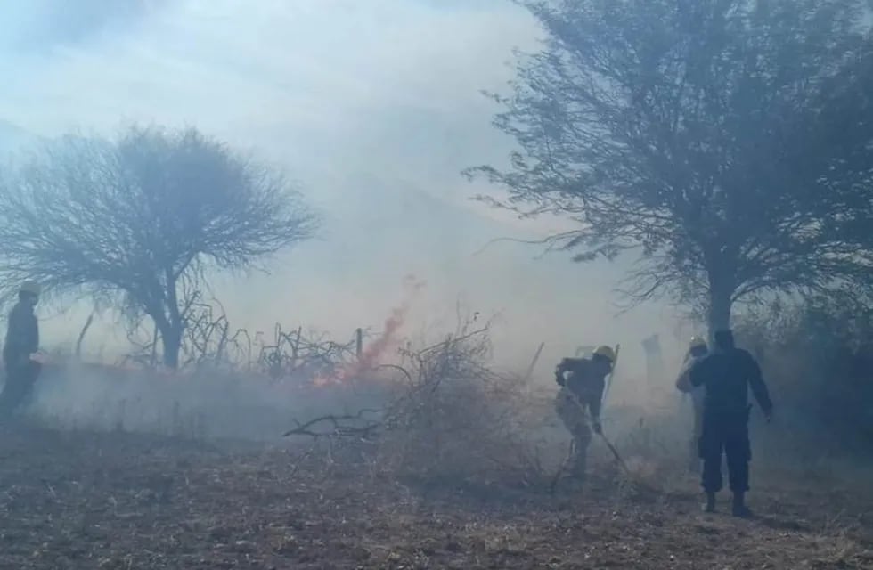 Un incendio consumió 25 hectáreas de pastizales en Cachi