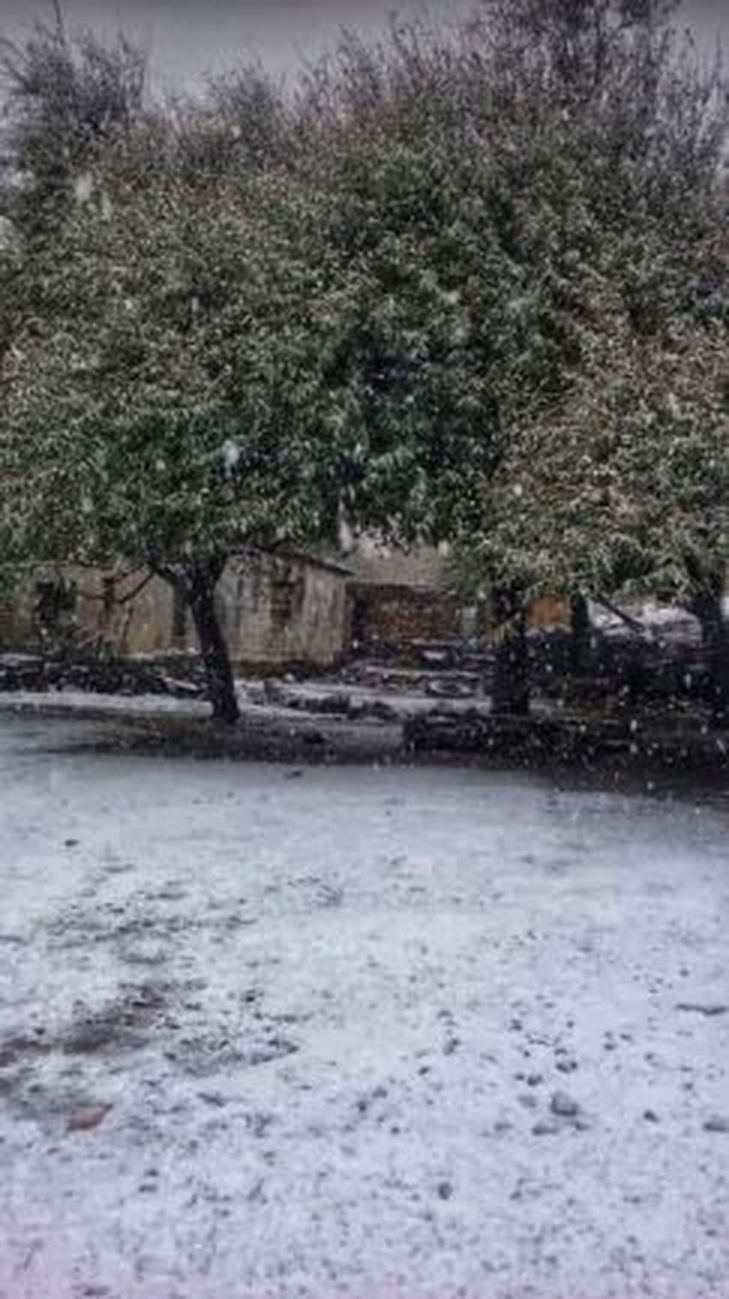 La primera nevada de 2021, en sierras de Córdoba (fotos de Geo Clima Traslasierra)