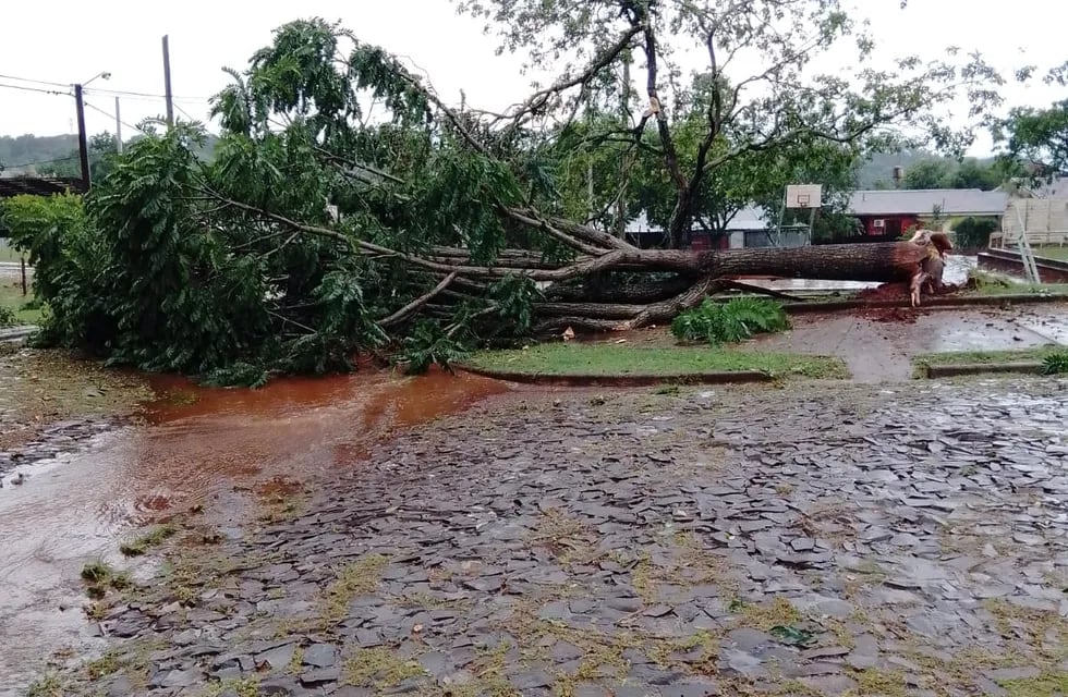 Fuerte temporal causó destrozos en Eldorado.