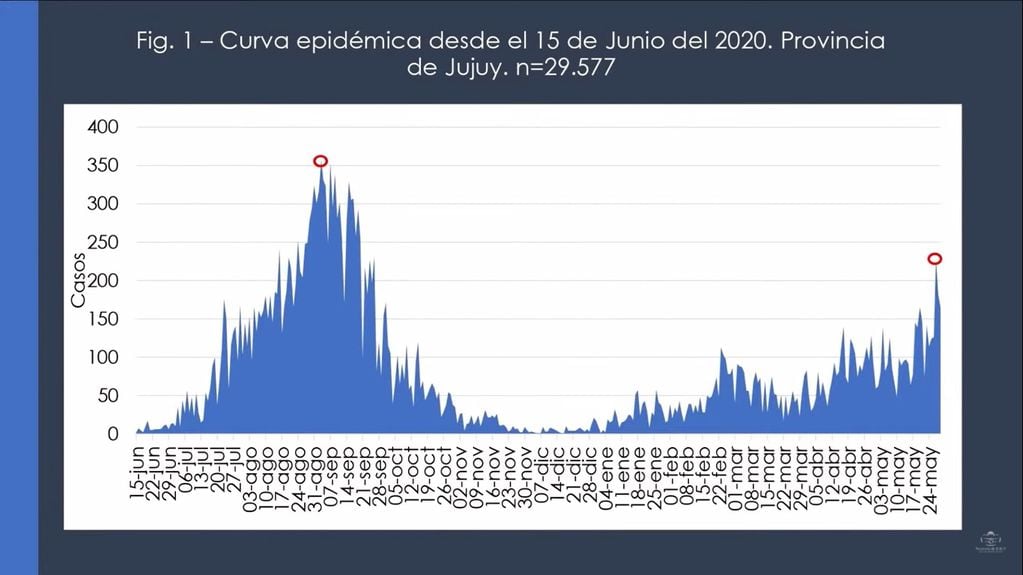 Curva epidémica que muestra la evolución de la pandemia en Jujuy desde junio del año pasado hasta el 24 de mayo último, donde se destacan el pico máximo de 357 casos detectados en un solo día -el 3 de septiembre de 2020-, el marcado descenso que llegó a solo 8 a 10 casos por día en los meses de noviembre y diciembre, y otro pico de 278 casos registrado la semana pasada. El gráfico no incluye la marca de 289 casos reportados el lunes último.
