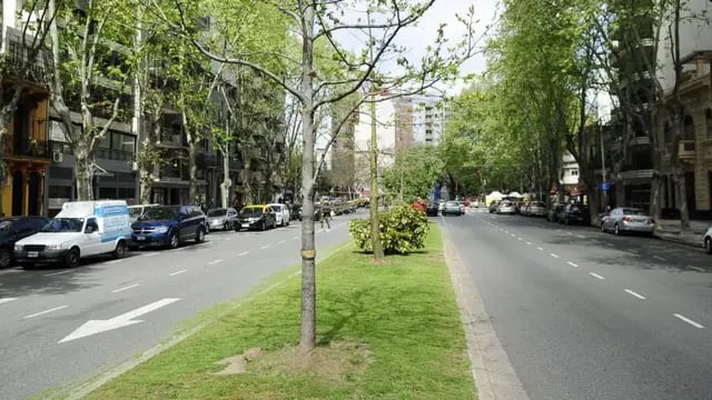 Caballito: transformarán la avenida Honorio Pueyrredón en un corredor verde