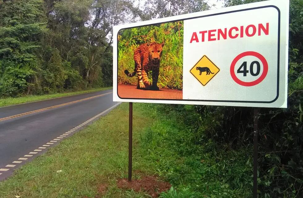 El Parque Nacional Iguazú tendrá más radares de tránsito.