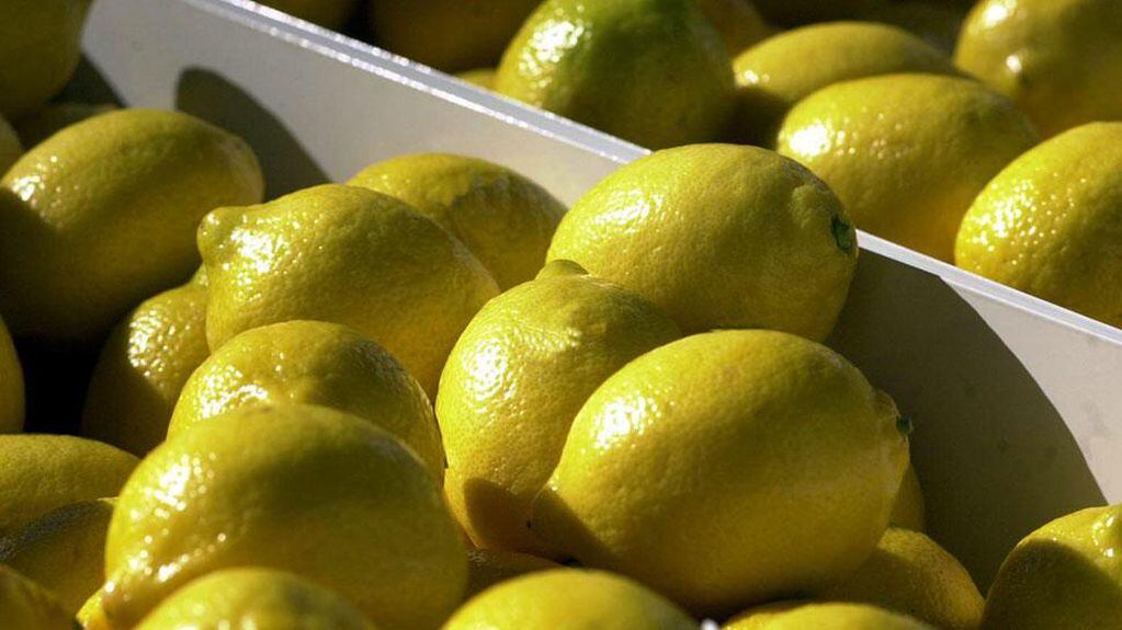Aseguran que ya empezaron a tirar limones por los inconvenientes en la transportación. (DyN/Archivo).