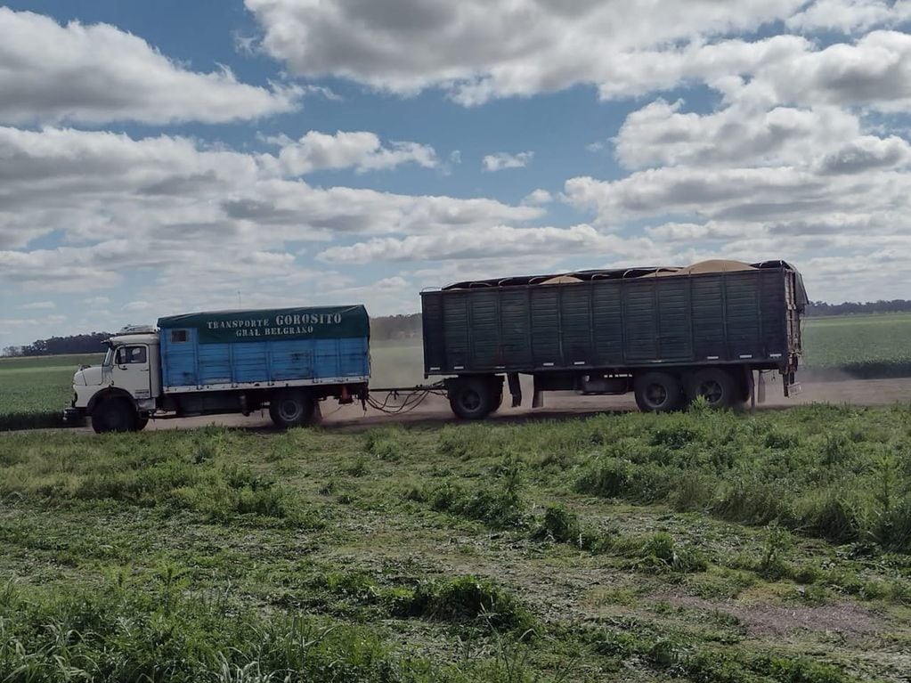Cachorron, el camión con el que Mariano recorre el país llevando cereales y realiza mudanzas para jóvenes estudiantes
