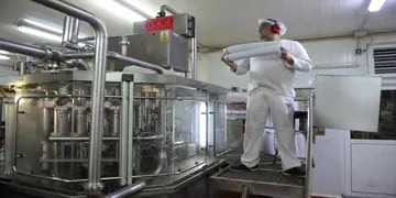  INCIDENCIA. Por los salarios que perciben, los trabajadores de la industria láctea son unos de los más afectados por Ganancias. (Nicolás Bravo/Archivo)